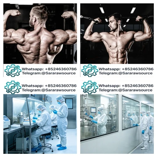 Adamax は筋肉量を直接増加させるわけではありませんが、持久力を強化し、回復を促進することで運動能力を向上させることができます。